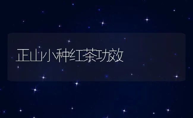 正山小种红茶功效 | 养殖资料投稿