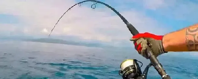 用什么鱼竿钓海鱼？