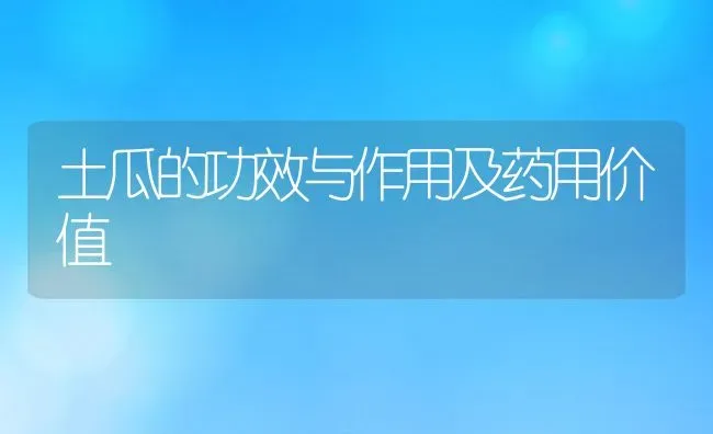 土瓜的功效与作用及药用价值 | 养殖资料投稿