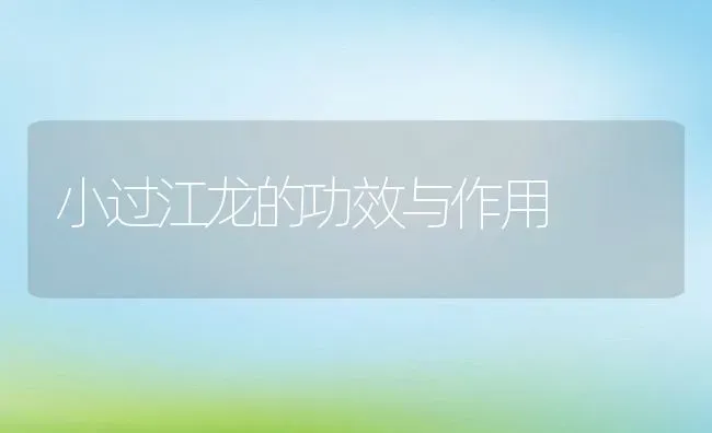 小过江龙的功效与作用 | 养殖资料投稿