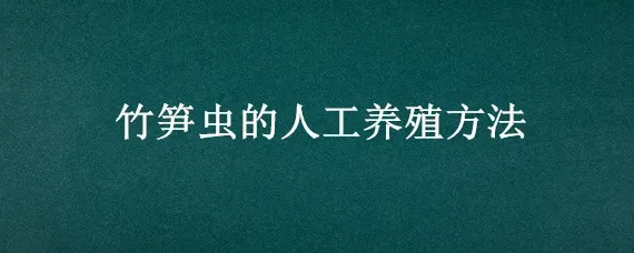 竹笋虫的人工养殖方法