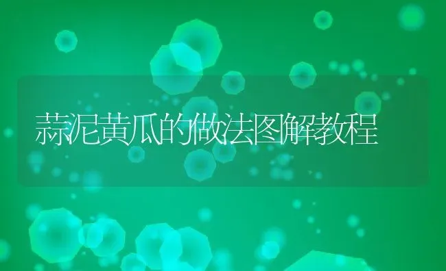 蒜泥黄瓜的做法图解教程 | 养殖资料投稿