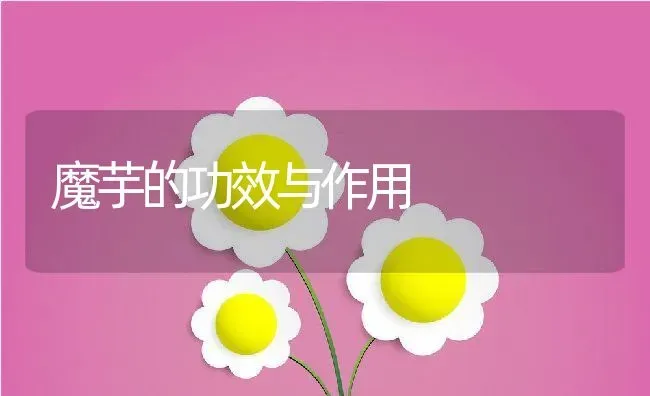 魔芋的功效与作用 | 养殖资料投稿