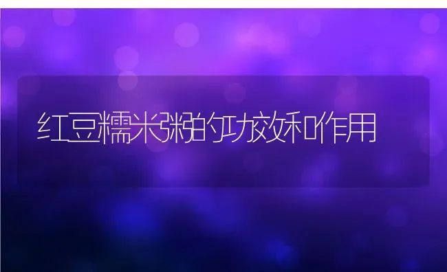 红豆糯米粥的功效和作用 | 养殖资讯