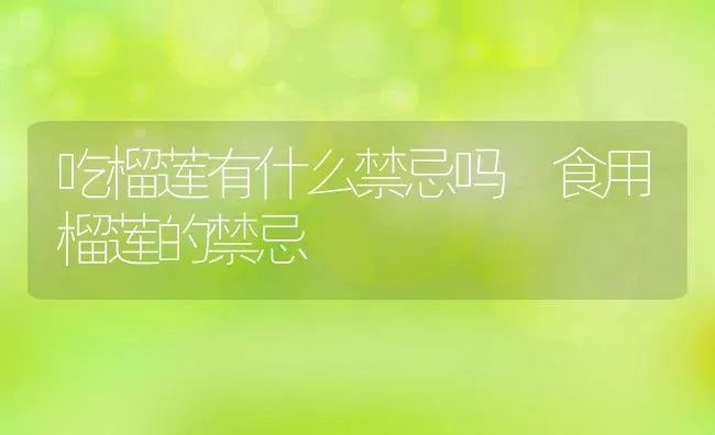 吃榴莲有什么禁忌吗 食用榴莲的禁忌 | 养殖资料投稿