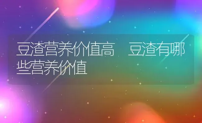 豆渣营养价值高 豆渣有哪些营养价值 | 养殖资料投稿