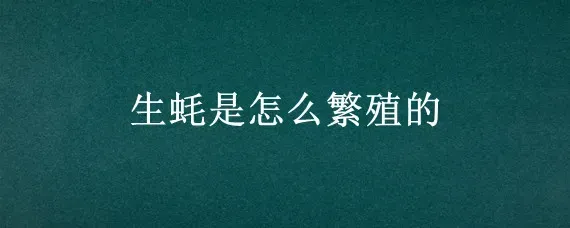 生蚝是怎么繁殖的