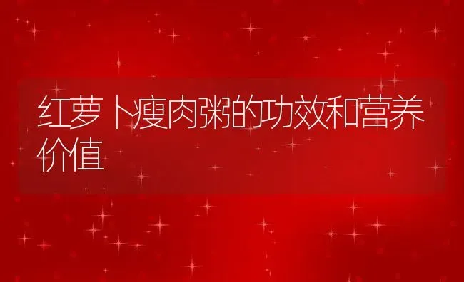 红萝卜瘦肉粥的功效和营养价值 | 养殖资讯