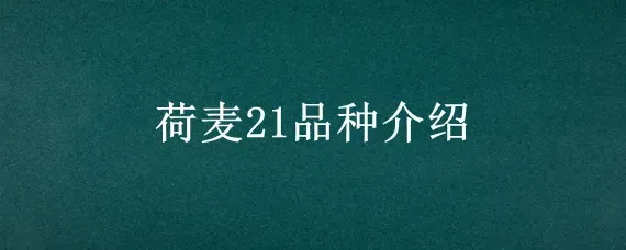 荷麦21品种介绍