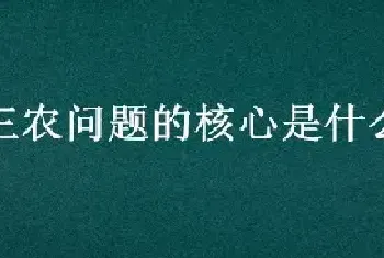 三农问题的核心是什么