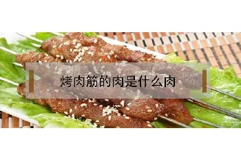 烤肉筋的肉是什么肉