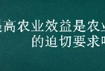 提高农业效益是农业现代化的迫切要求吗