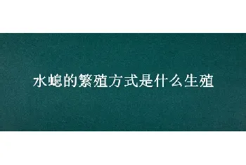 水螅的繁殖方式是什么生殖