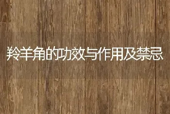 羚羊角的功效与作用及禁忌