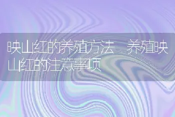 映山红的养殖方法 养殖映山红的注意事项