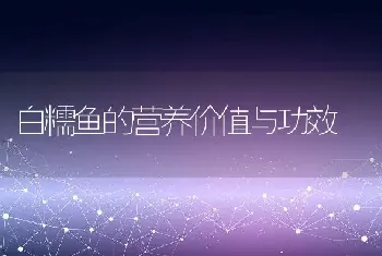 洋葱可直接打汁喝吗 洋葱打汁喝有什么好处