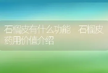 石榴皮有什么功能 石榴皮药用价值介绍