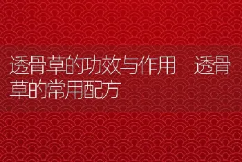 透骨草的功效与作用 透骨草的常用配方