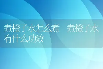 煮橙子水怎么煮 煮橙子水有什么功效