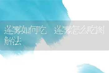 莲雾如何吃 莲雾怎么吃图解法