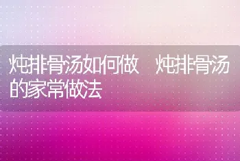 炖排骨汤如何做 炖排骨汤的家常做法