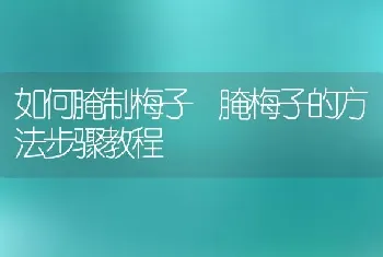 如何腌制梅子 腌梅子的方法步骤教程