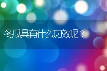 冬瓜具有什么功效呢？