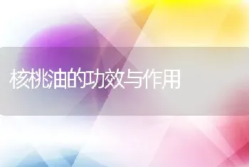 紫苏杨梅桃子姜的材料和做法步骤