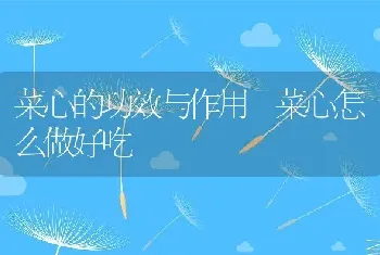 菜心的功效与作用 菜心怎么做好吃