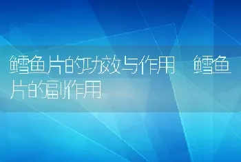 鳕鱼片的功效与作用 鳕鱼片的副作用