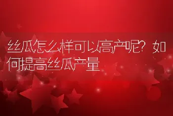 丝瓜怎么样可以高产呢？如何提高丝瓜产量