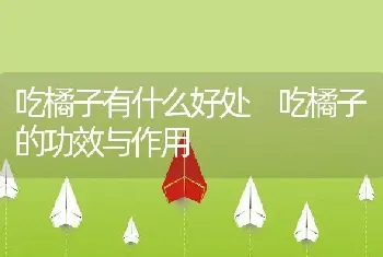 吃橘子有什么好处 吃橘子的功效与作用