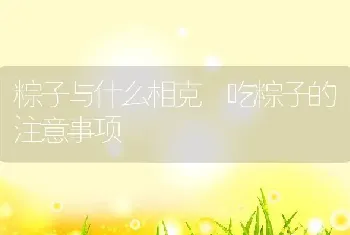 粽子与什么相克 吃粽子的注意事项