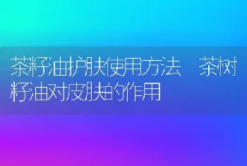 茶籽油护肤使用方法 茶树籽油对皮肤的作用