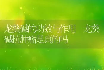 龙葵碱的功效与作用 龙葵碱抗肿瘤是真的吗