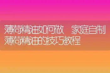 芡实怎么吃效果最好 芡实怎么吃补肾