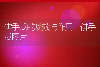 佛手瓜的功效与作用 佛手瓜图片