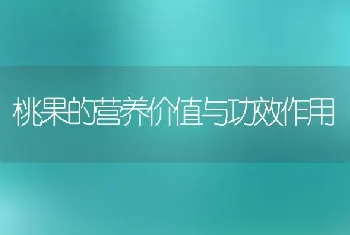 桃果的营养价值与功效作用