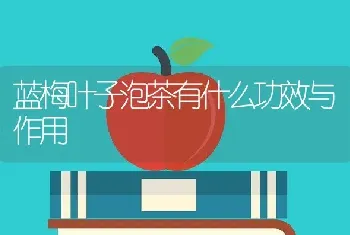 蓝梅叶子泡茶有什么功效与作用