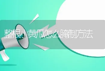 整根小黄瓜怎么腌制方法