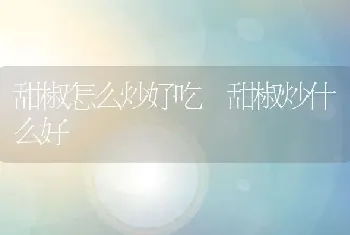 甜椒怎么炒好吃 甜椒炒什么好