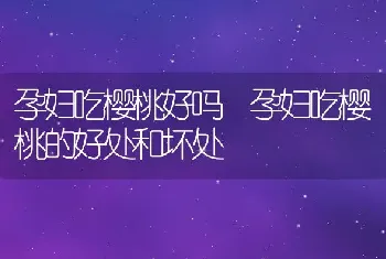 孕妇吃樱桃好吗 孕妇吃樱桃的好处和坏处