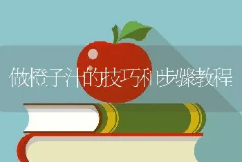 做橙子汁的技巧和步骤教程