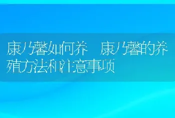 康乃馨如何养 康乃馨的养殖方法和注意事项