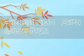 河虾和海虾的区别 河虾和海虾的常见吃法