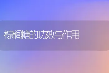 棕榈糖的功效与作用