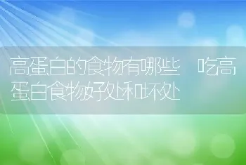 高蛋白的食物有哪些 吃高蛋白食物好处和坏处