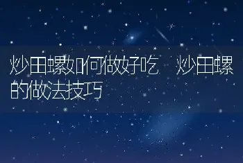 炒田螺如何做好吃 炒田螺的做法技巧