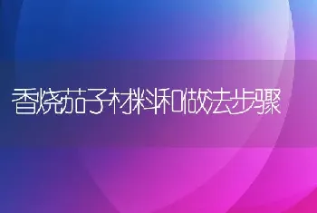 香烧茄子材料和做法步骤