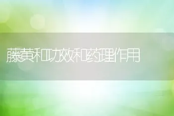 藤黄和功效和药理作用